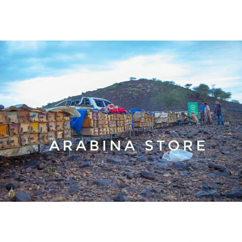 Arabina Madu Habbatussauda 100% Original Murni Grade A Habatusauda Asli Habbat habatusaudah - Image 8