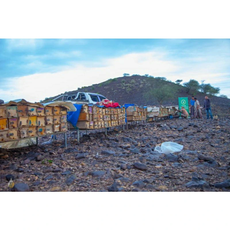 Arabina Madu Sumroh Yaman Sumrah 100% Original Murni Grade A Bersertifikat Labolatorium - Image 9